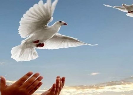 زن جوان بیله سواری شوهر زندانی اش را بخشید