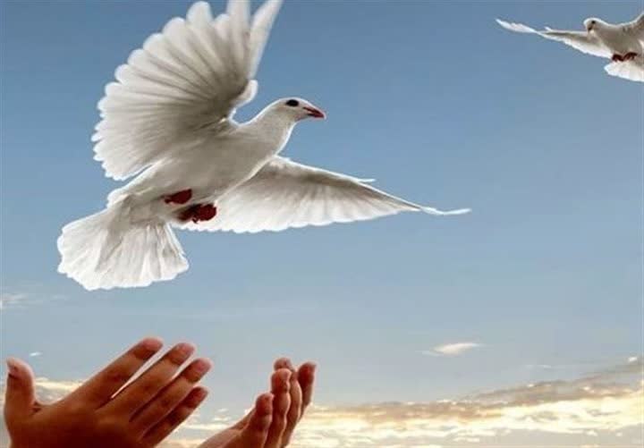زن جوان بیله سواری شوهر زندانی اش را بخشید