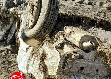 بلایی که سیل دره رود(گرمی) بر سر خودروی ساینا آورد+ عکس