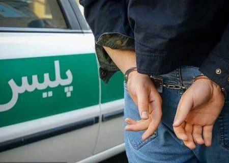 زمینگیرشدن اراذل و اوباش قمه به دست  باتلاش ماموران انتظامی مشگین شهر