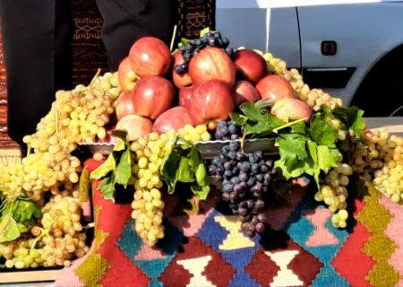 جشنواره سیب و انگور در مشگین‌شهر برگزار شد