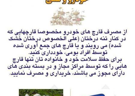 افزایش آمار مراجعین به بیمارستان ولیعصر مشگین‌شهر بدلیل مصرف قارچ سمی