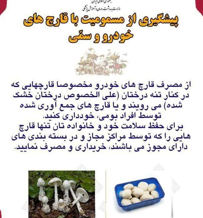 افزایش آمار مراجعین به بیمارستان ولیعصر مشگین‌شهر بدلیل مصرف قارچ سمی