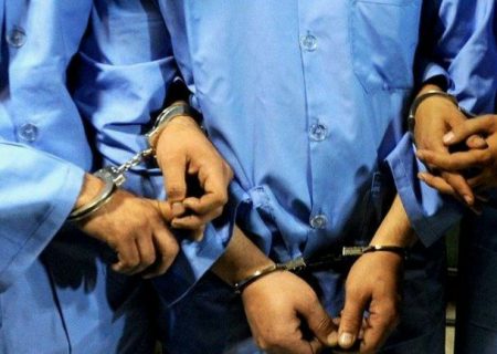 دستگیری عاملان قطع درختان پارک جنگلی مشگین شهر