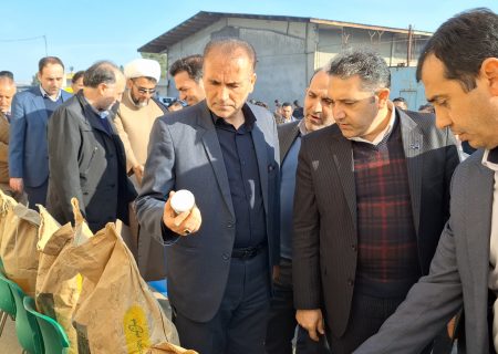آیین رونمایی از صادرات بذر ذرت تولیدی مشترک شرکت ملی پارس با شرکت آمریکن ژنتیکس یونان به کشورهای عضو اتحادیه اروپا