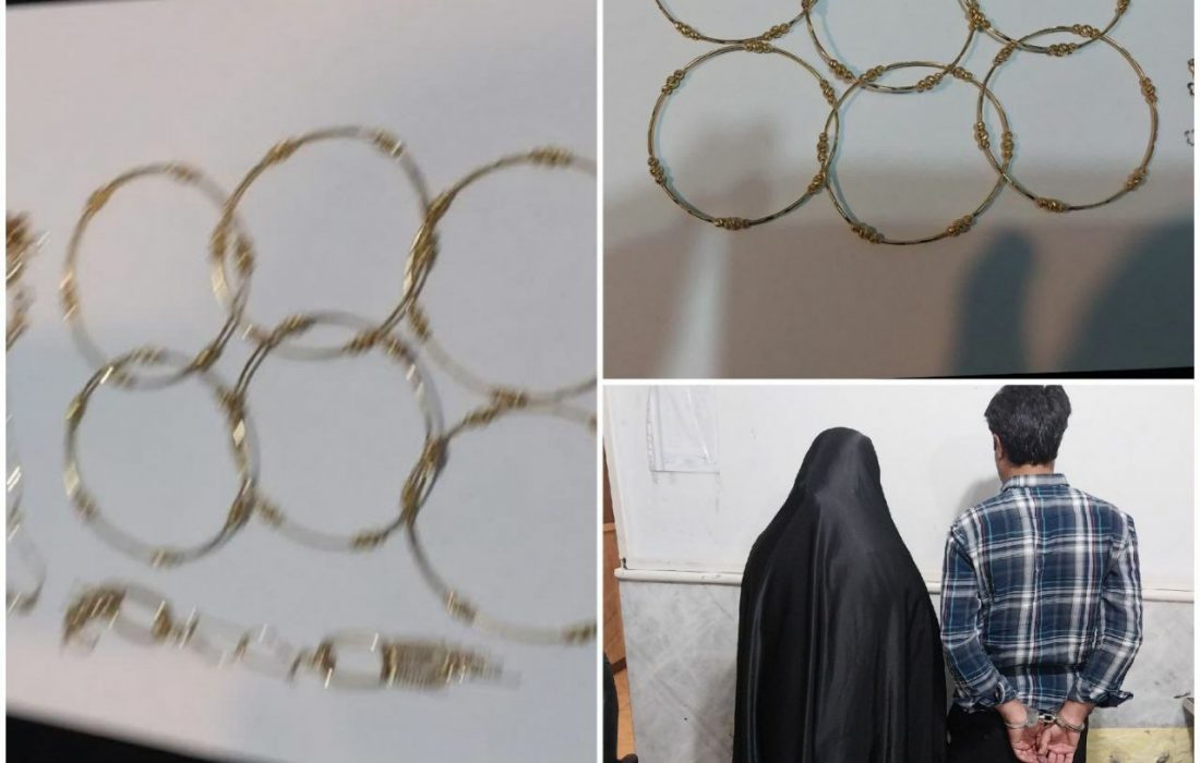 دستگیری سارقان طلا درمشگین شهر