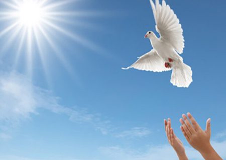 به عشق امام حسین (ع)، مادری از بند رهایی یافت