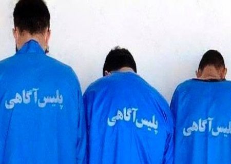 دستگیری ۳ سارق سابقه‌ دار اماکن خصوصی در مشگین‌ شهر