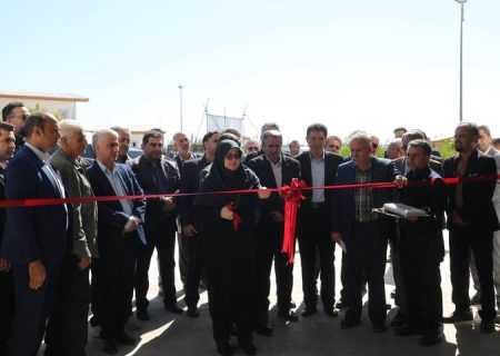 سخنگوی دولت: ضرورت حرکت به سمت ارزش افزوده در کشاورزی