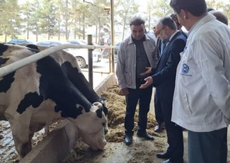 تاکید دادستان اردبیل بر حراست از حقوق بیت‌المال در کشت و صنعت مغان پوششی