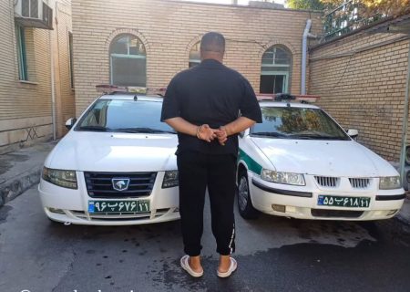 دستگیری اراذل و اوباش شناسنامه دار در پارس آباد
