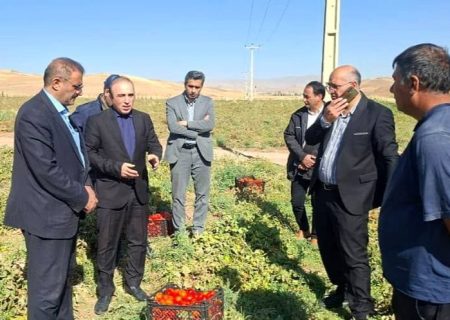 تصویب ۶۱ طرح اشتغال‌زایی و سرمایه‌گذاری در شهرستان کوثر با تأمین مالی ۵۰۰میلیارد تومانی/ توسعه زیرساخت‌ها و حمایت از سرمایه‌گذاران مورد توجه است