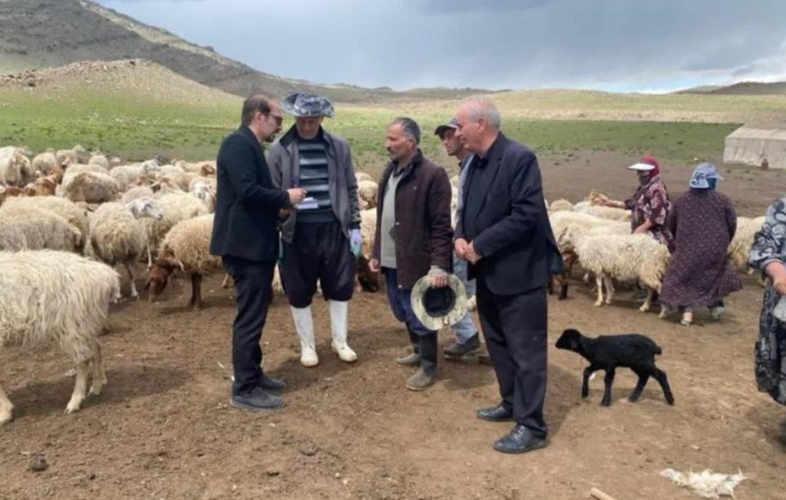 آماده‌سازی قشلاق قوزی قورقی برای تکمیل پروژه آبرسانی