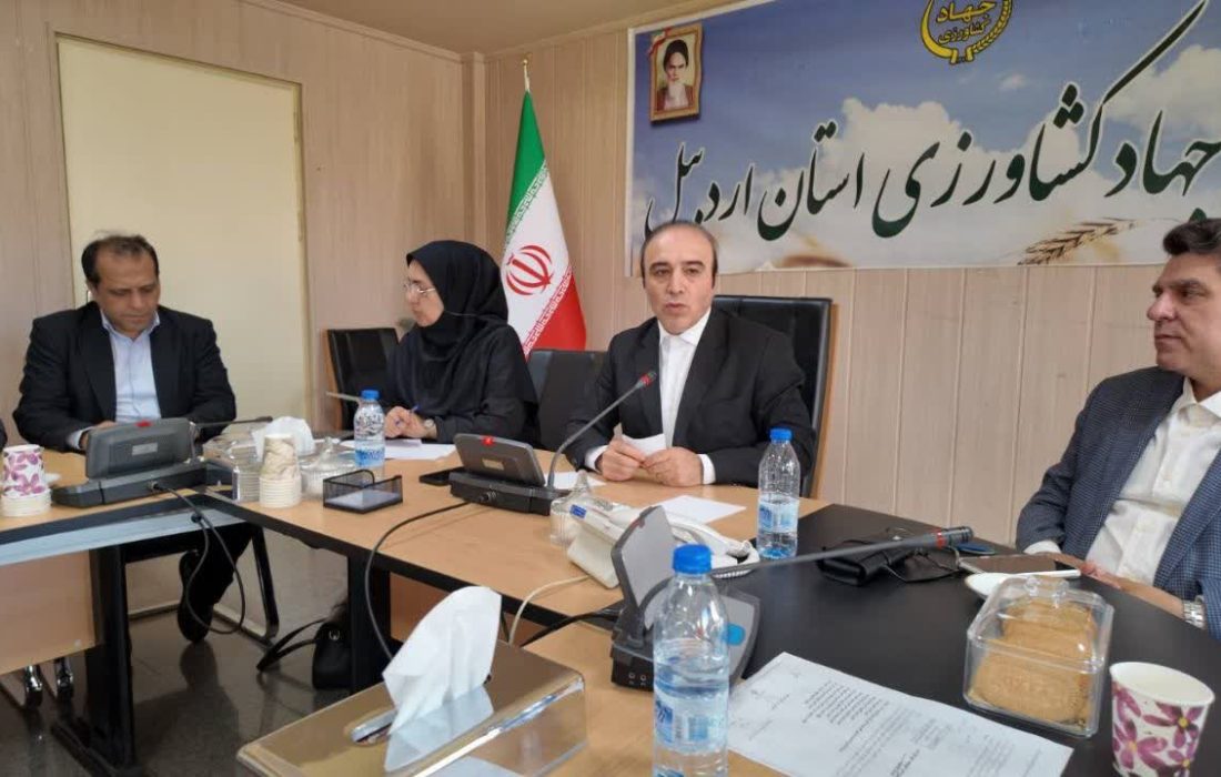 تاکید بر حمایت از تولید زپارس در نشست معاون اقتصادی استانداری با مدیران دستگاه‌های اجرایی استان اردبیل