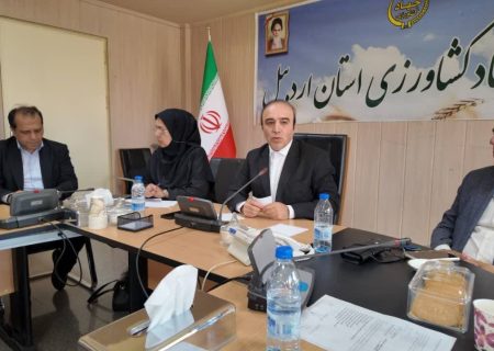 تاکید بر حمایت از تولید زپارس در نشست معاون اقتصادی استانداری با مدیران دستگاه‌های اجرایی استان اردبیل