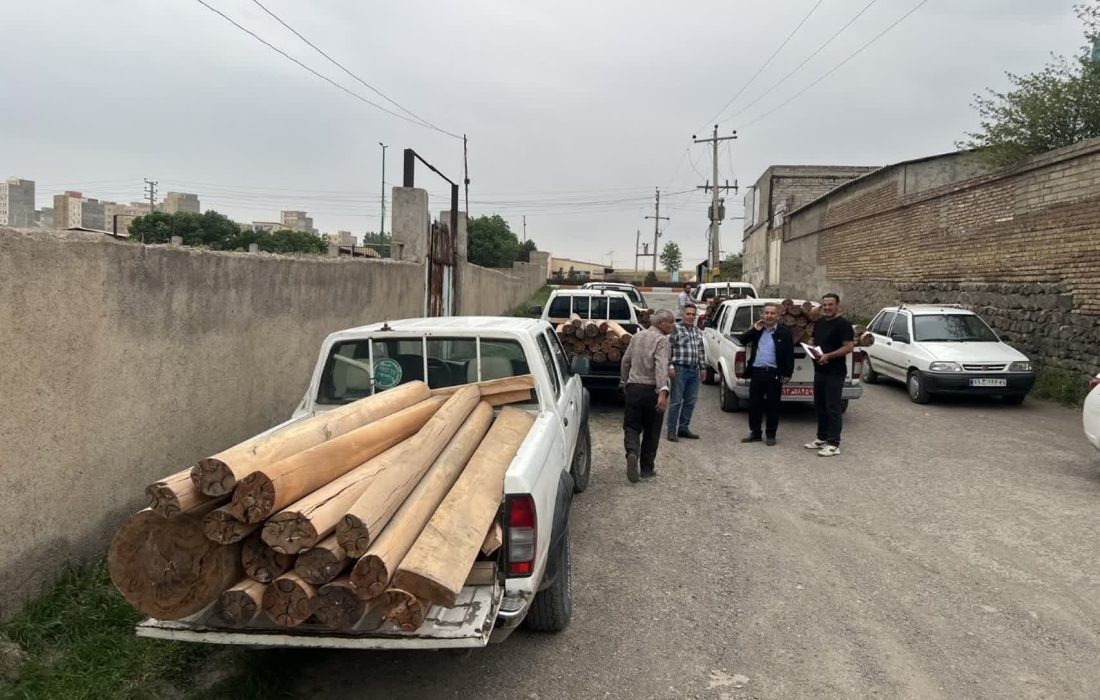 کشف ۱۸۵ اصله چوب‌آلات جنگلی در اردبیل
