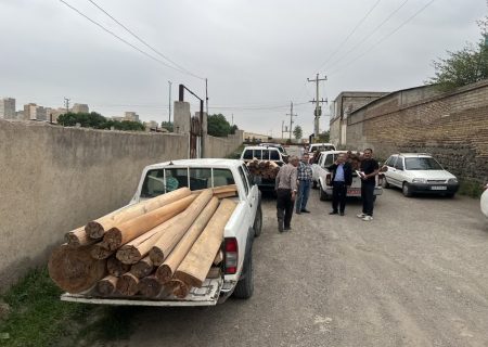 کشف ۱۸۵ اصله چوب‌آلات جنگلی در اردبیل